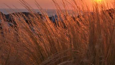 Olithos Villas - Photo 2, Garden view