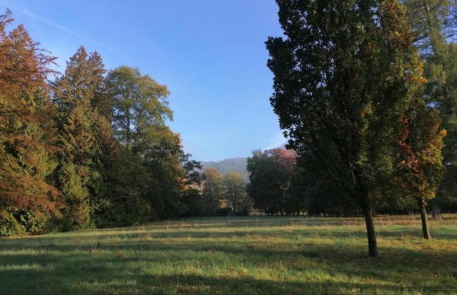 Relaxa at a Luxurious Villa in Bad Pyrmont - Foto 77