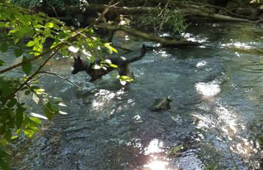 Ferienhaus Möhnetal - Foto 39