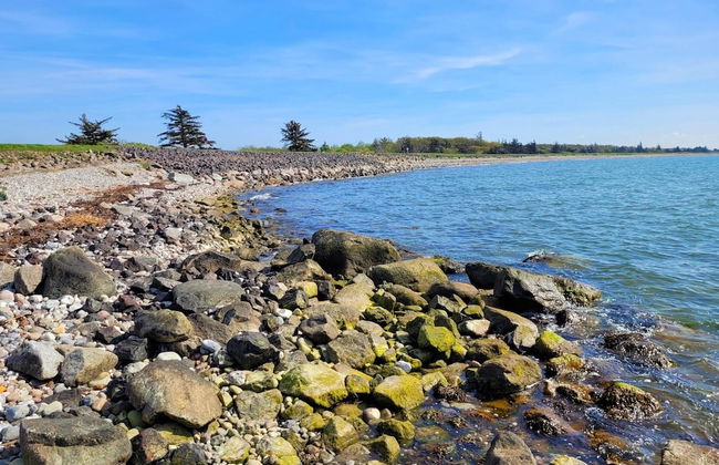 Exclusives Appartement auf Fehmarn - Foto 39