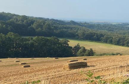 Pyes Granary - Foto 20