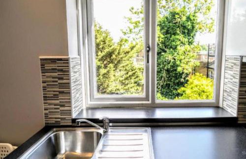 The Lily Aparts - Photo 11