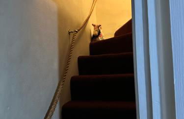 Llanidloes Townhouse-pet-friendly-sleeps 7-Mid Wales - Foto 33