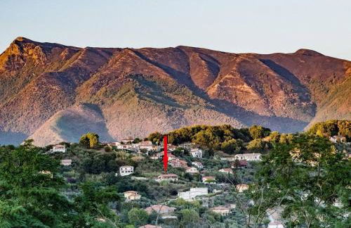 Villa Lo Zilloro by Nicola Real Estate - Foto 7