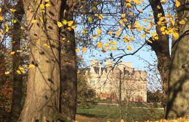 Oak Tree Cottage - Foto 17