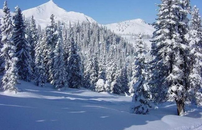 Ferienhaus, Medebach - Foto 34