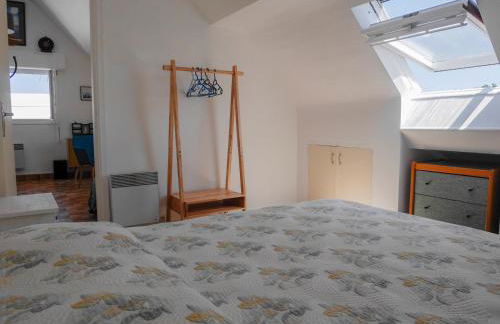 Appartement rénové au Palais, proche commerces et plage - FR-1-418-175 - Photo 11