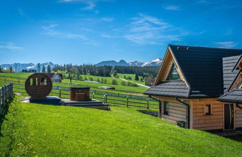 Domki-Przystanek Dzianisz - Foto 14