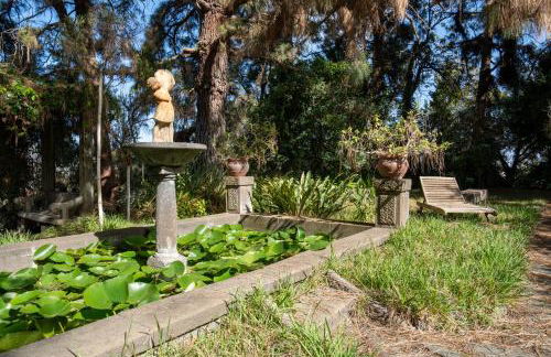 Vivelorural Casita Vintage, Santa Brígida - Foto 55