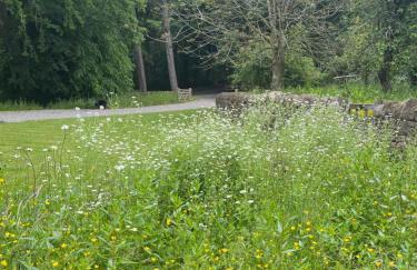 The Kennels - Foto 53