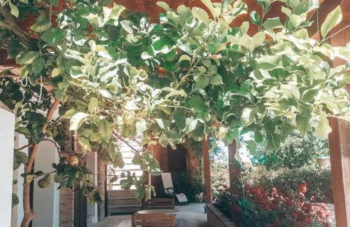 Agriturismo Santo Stefano - Foto 14