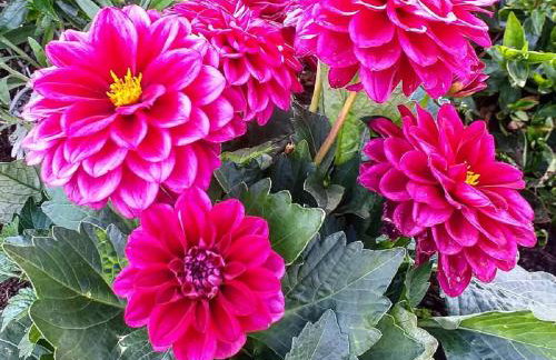 Podere La Vigna Locazione Turistica - Photo 28