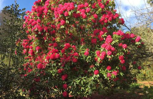 Valle Paraizo - Foto 47