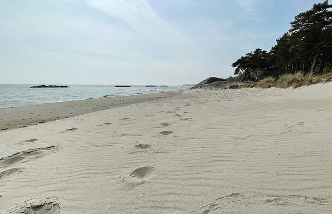 4 Person Holiday Home in Angelholm - Foto 15