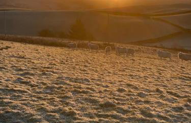 The Old Garage Apartments - Foto 11