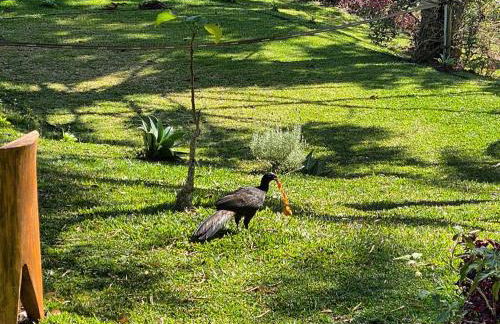 Chalés Lá na Roça - Photo 30