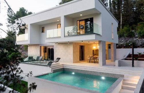 My seagull - Photo 11