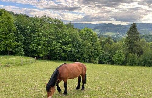 Domki Widokowe Wisła - Foto 4