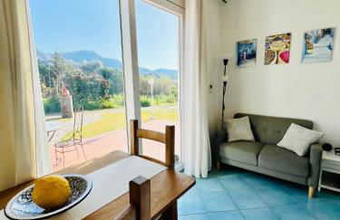 Villa Joyosa Apartments - Photo 11