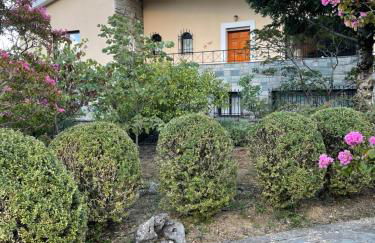 Levidi Horizon - Foto 1