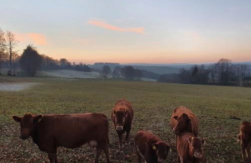 Eifel-Oase Monschau - Foto 23