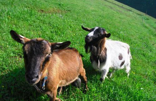 Comfortable Holiday Home in a Beautiful Location - Foto 31