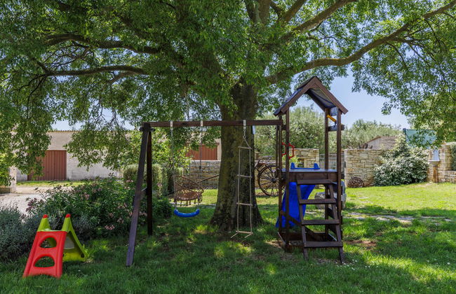 Gallicianum - Foto 62