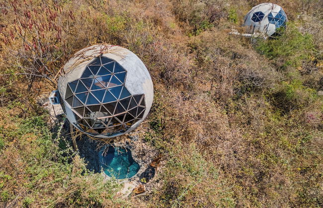 Bosque Geométrico - Foto 59