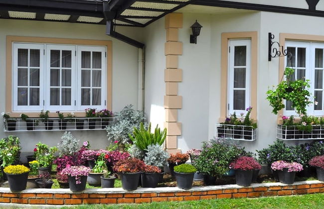 Cocoon Hills - Foto 27