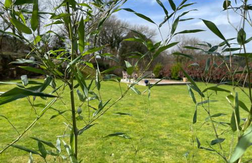 The Retreat - Foto 17