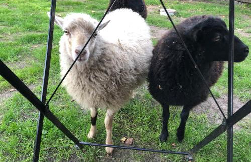 FEWO Elbe Weser - Foto 21