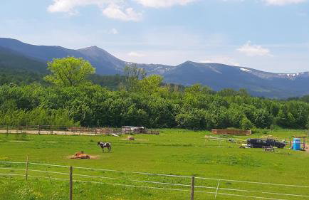 Apartamenty Malinówka pod Śnieżką - Foto 3