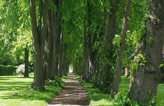 Wohnung in Hoxter Nahe Schloss Corvey - Foto 26