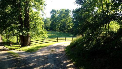 Charming Vacation Rental in a Barn on a Horse Farm near Afton Mountain in Virginia - Foto 3