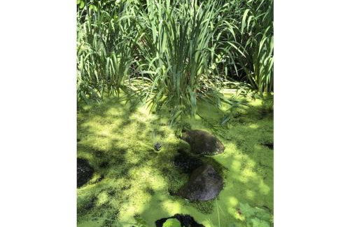 Holiday home with 2 bedrooms - Foto 27