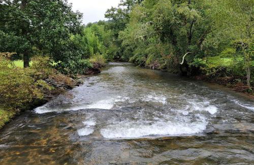 Cozy Cabin in the Blue Ridge Mountains, Perfect for a Weekend Escape from Atlanta - Foto 18