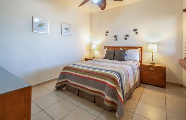 Sonoran Sun IV - Foto 31