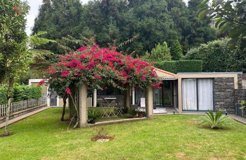 Quiet Place - Foto 3