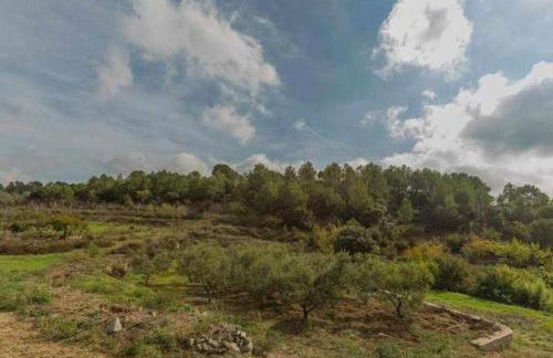 Masía de piedra con piscina - Foto 40