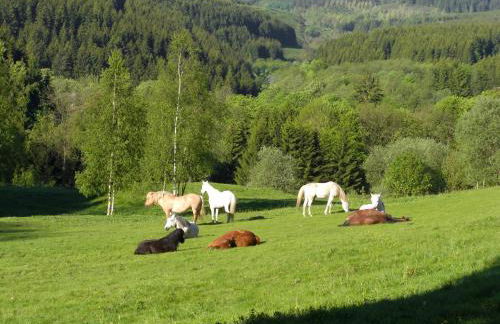 Ferienwohnung Hoher Weg - Foto 29