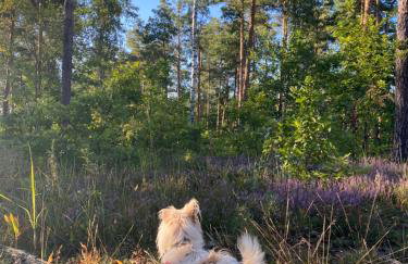 Między Falami - Foto 30