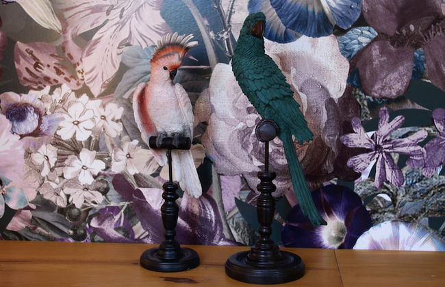 Domaine de la Vaudourière - Photo 66