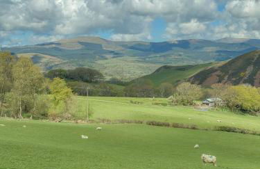 Glyndwr Way Cabin - Photo 16