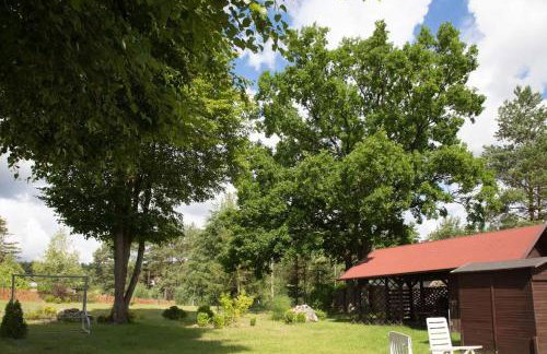 Ranczo Marzenia - Foto 3