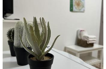 Apartamento Fortaleza - Foto 18