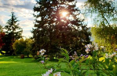 Agriturismo di charme Erbadoro - Foto 61