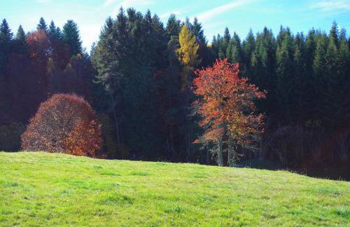 gîte le Val d'Ance - Foto 6