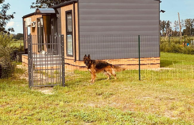 Holiday Home in Nowe Warpno With Garden - Photo 22