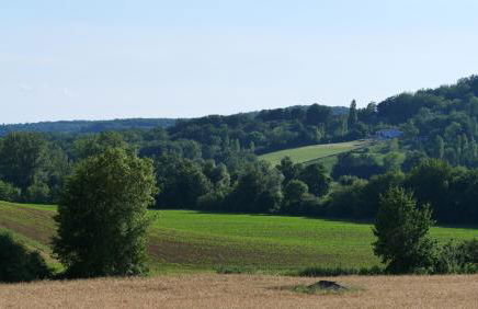 Mas Labrugade - Foto 13