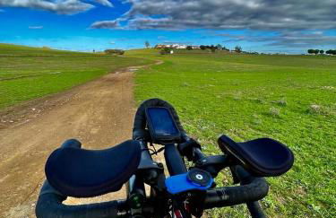 4Bs - Birds & Bicycles - Foto 19